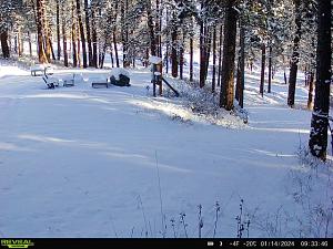 Click image for larger version

Name:	SwaukPinesSnow.jpeg
Views:	90
Size:	77.3 KB
ID:	22967