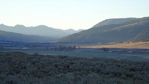 Click image for larger version

Name:	Lamar Valley at Dawn - DSC00790.JPG
Views:	221
Size:	4.19 MB
ID:	15117