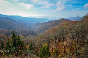 Click image for larger version

Name:	Great Smoky.jpg
Views:	375
Size:	20.1 KB
ID:	11189