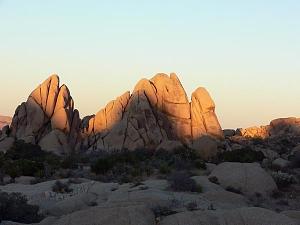 Click image for larger version

Name:	JoshuaTree best small web.JPG
Views:	474
Size:	24.9 KB
ID:	971